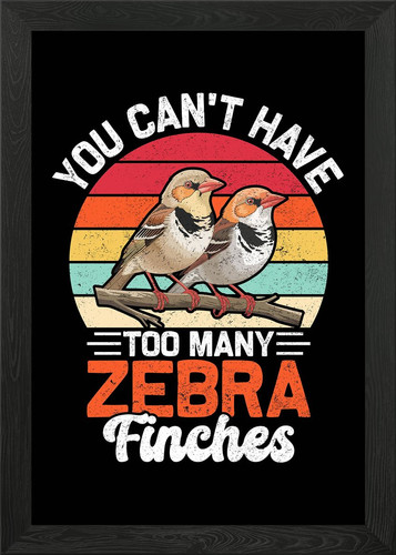 Zebra finches bird lover - zebra,