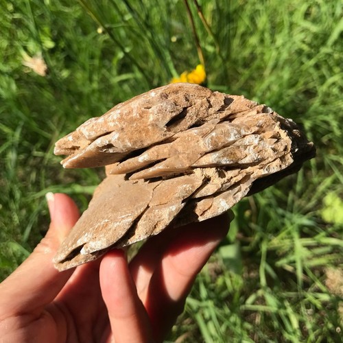 Desert rose crystal sand - crystal,