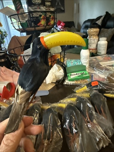 Set vinatage feather - set,