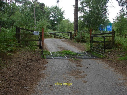Photo 12x8 pond - pond, barrier