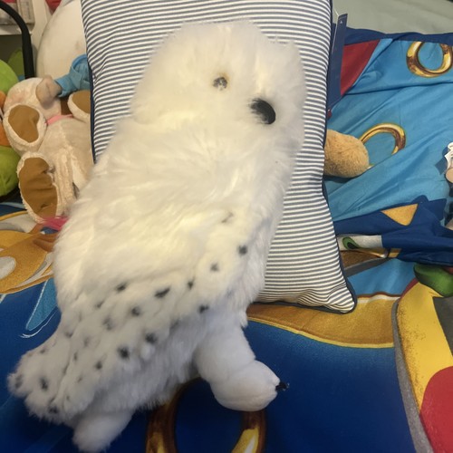 Harry potter hedwig snow - potter,