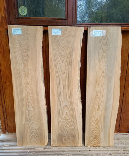 Cedar lebanon air dried - of,