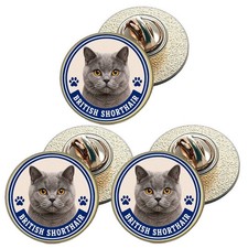 3 x British Short Hair Cat