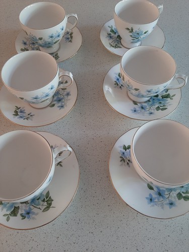 Queen anne bone china teacup - queen,