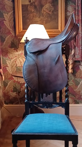 English jumping saddle - english,