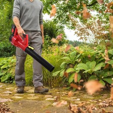 Leaf Blower w/Batteries &