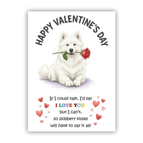 Samoyed dog valentine - valentine's, day
