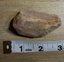 Kem Kem Dinosaur Bone Fossil
