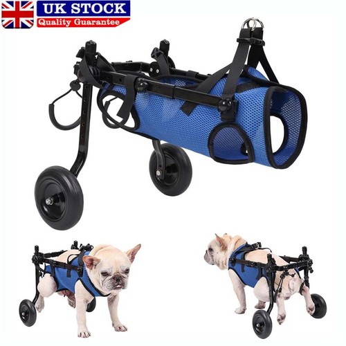 Pet walk booster dog - booster,