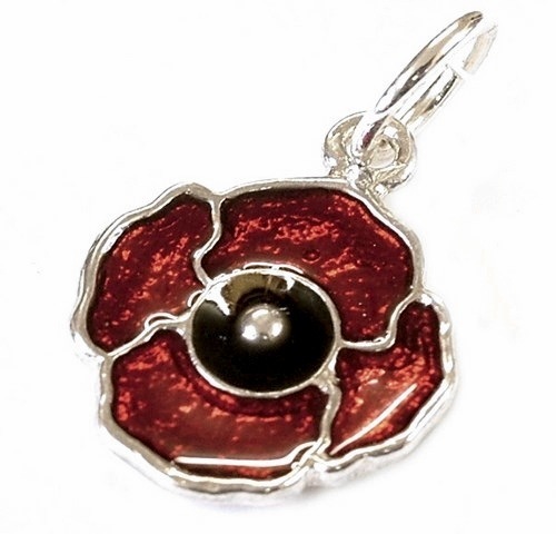 Sterling silver enamelled - sterling,