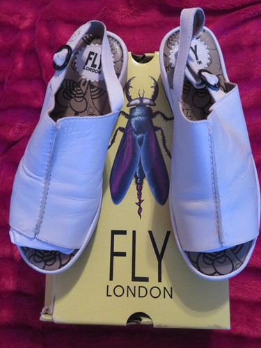 Worn once fly - (briefly), london