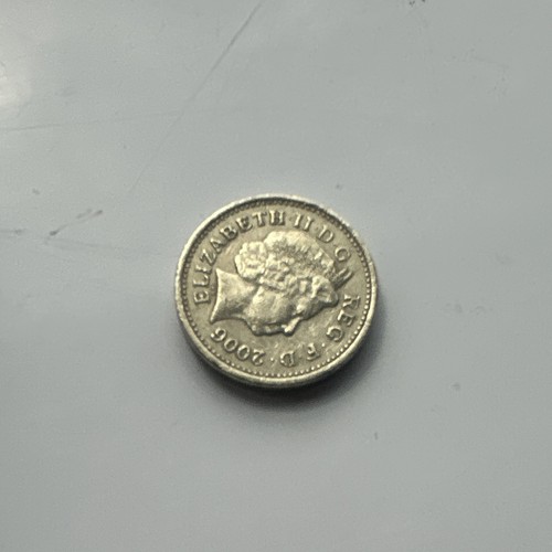 2006 one pound coin - coin,