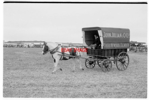 Photo horse and - horse,