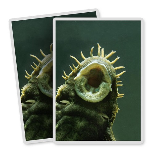 Vertical vinyl stickers - vertical,