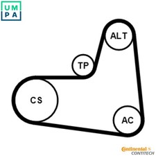 VRIBBED BELT SET 6PK1005K1 FOR