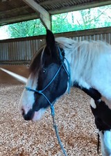 Easy-Does-It Med Stiff 4 knot