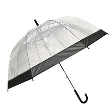 Large Clear See Through Dome