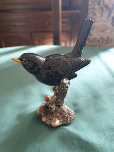 Male blackbird perched - perched, on