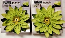 FLUVAL Chi Lily Flower Plants