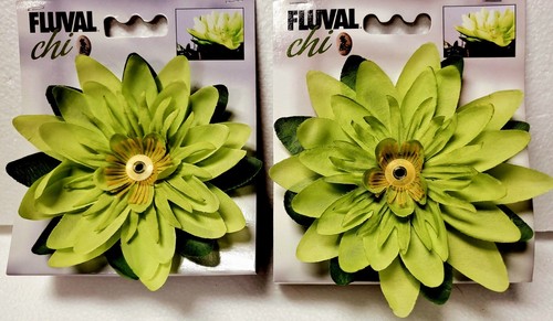 Fluval chi lily flower plants - chi,