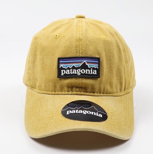 2026 patagonia logo - patagonia, cap