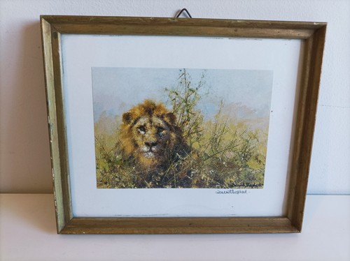 David shepherd signed framed - david,