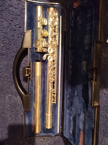 Flute with case - with,