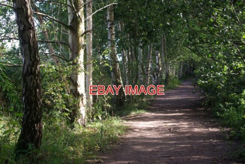 Photo former railway - photo, near