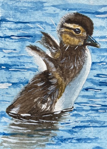 Original watercolour mallard - original,