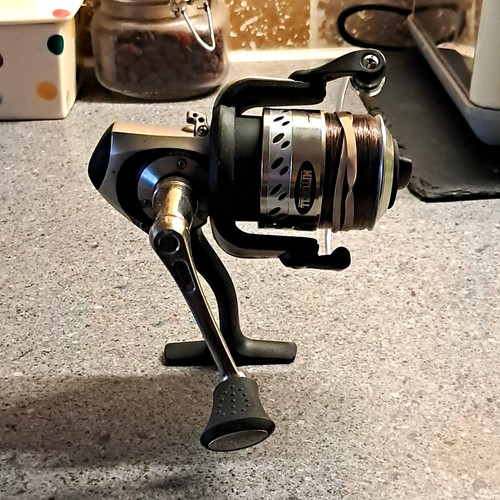 Mitchell 300xe spinning