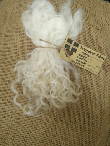 Curly wool locks needle - locks.,