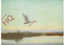 Picture Postcard~ Vernon Ward, a Green Symphony