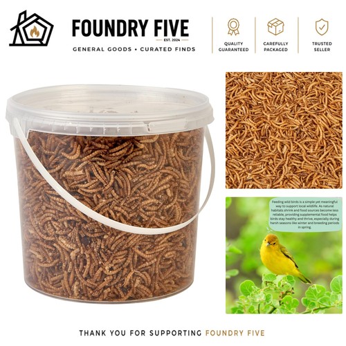 Nutritious dried mealworms - dried,