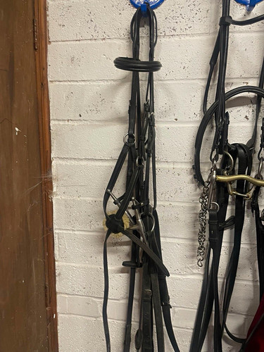 Jeffries pro back - bridle, with
