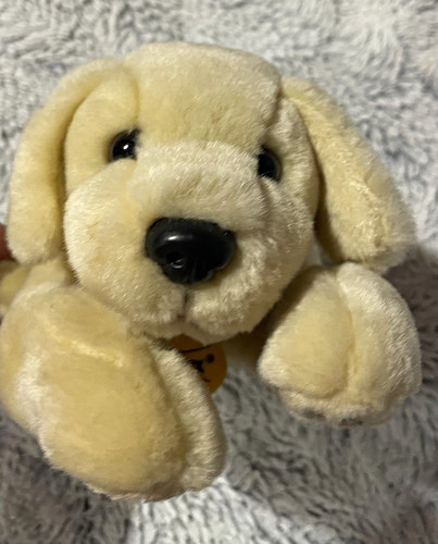 Andrex puppy years - puppy, 30