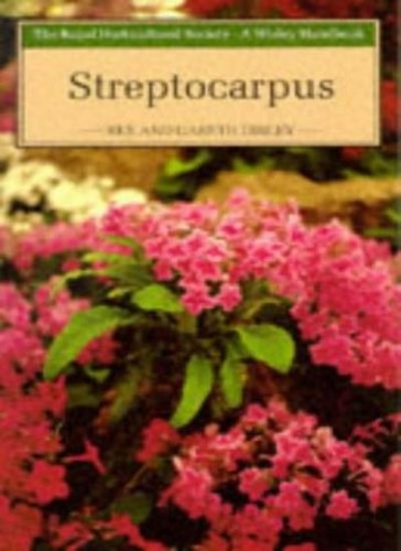 Streptocarpus wisley - streptocarpus, (wisley