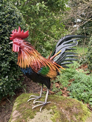 Coloured metal cockerel - coloured,