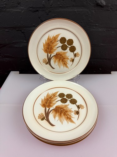 Denby cotswold dinner plates - cotswold,