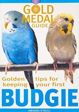 Budgie Keeping Guide by Amanda