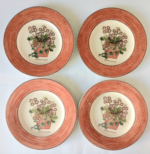Wedgwood sarah garden salad - garden,