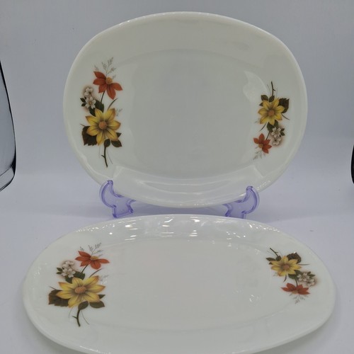 Vintage pyrex jaj autumn - 2,