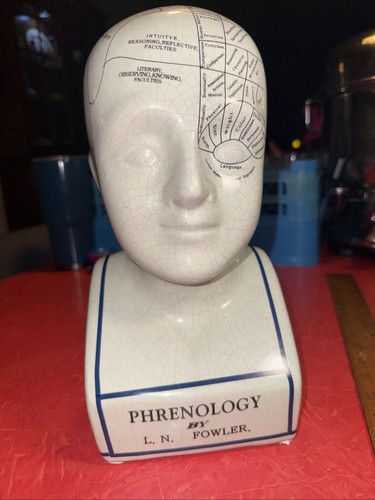 Vintage phrenology head bust - vintage,