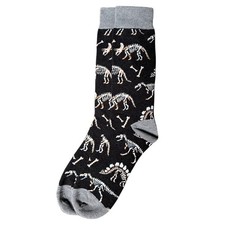 DINOSAUR FOSSIL BONES SKELETON