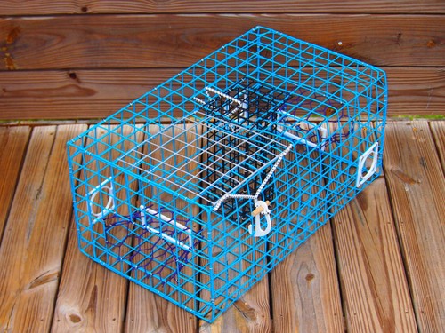 Oceanbuilt maryland blue crab - maryland,