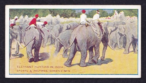 Taddy sports pastimes 1912 - taddy,