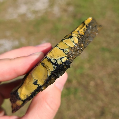 Nautilus variscite rough - nautilus,
