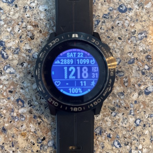 Garmin fenix sapphire - garmin,