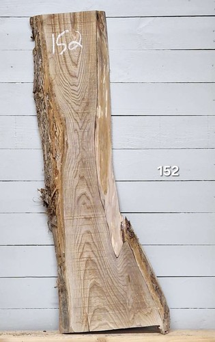 Elm live edge - elm,