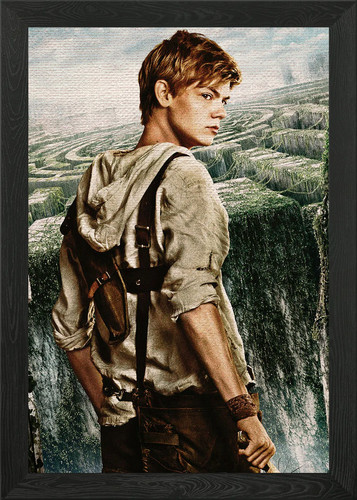 The maze runner framed - maze,