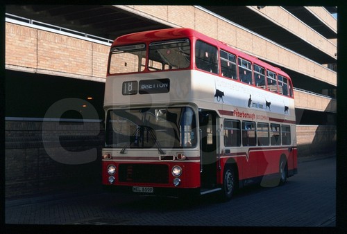 Original bus slide - slide,